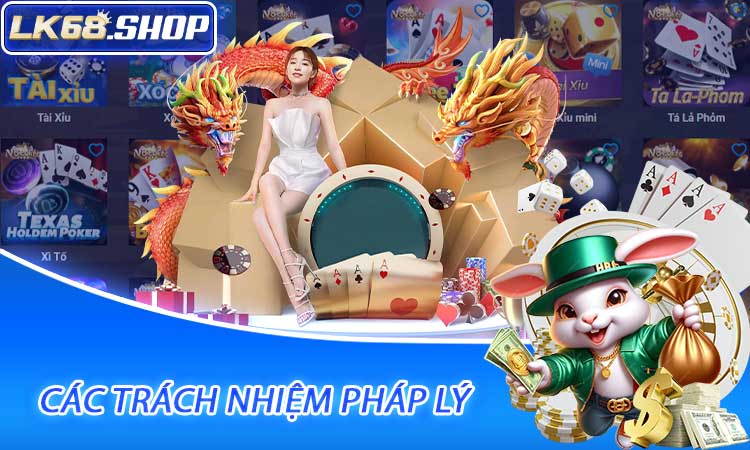 Các Trách Nhiệm Pháp Lý Và Quản Lý Rủi Ro Của Người Chơi
