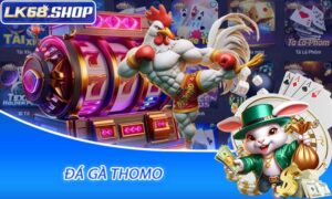 Đá Gà Thomo