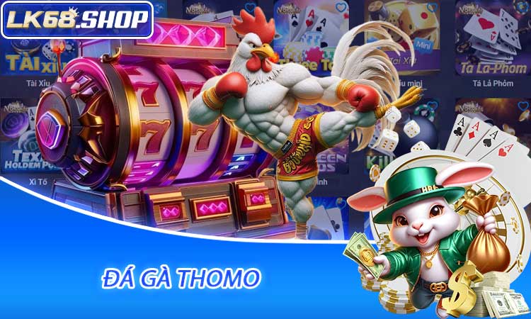 Đá Gà Thomo
